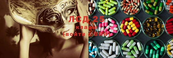 эйфоретик Корсаков