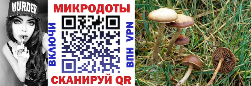 Галлюциногенные грибы мухоморы  Купить где  Бирюч 