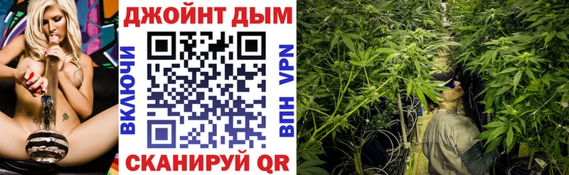 Каннабис SATIVA & INDICA Купить закладки Бирюч